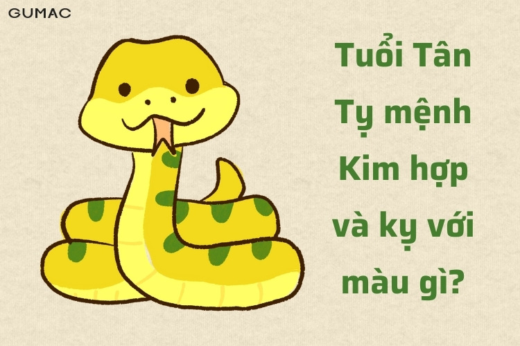 tan ty 2001 hop mau gi