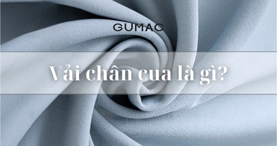 Vải chân cua là gì? Đặc tính và ứng dụng của vài chân cua
