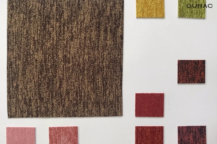 tim hieu ve vai chan cua